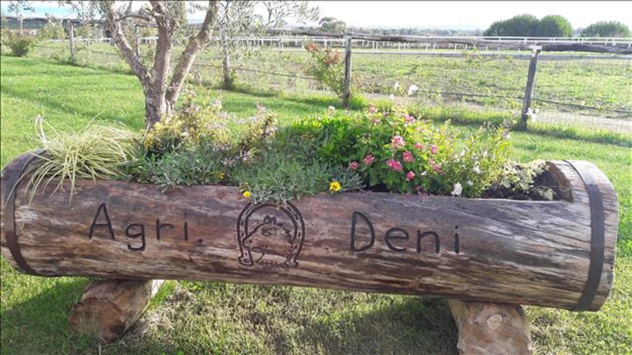 Agriturismo Deni Apartment Cenaia Bagian luar foto